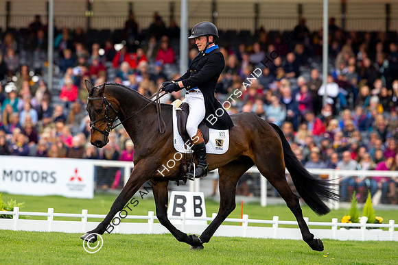 Horse Trials