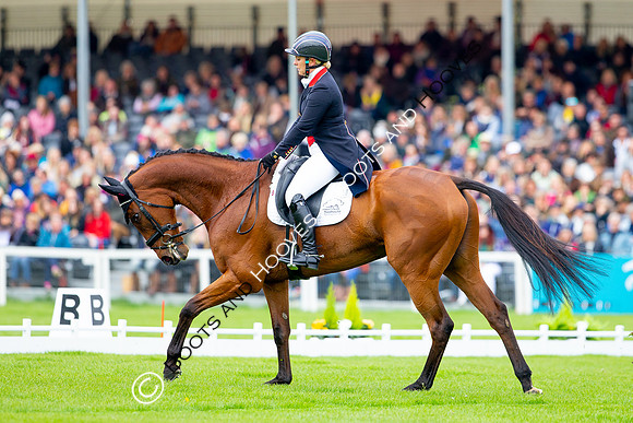 Horse Trials