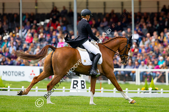 Horse Trials