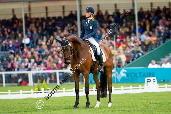 Horse Trials
