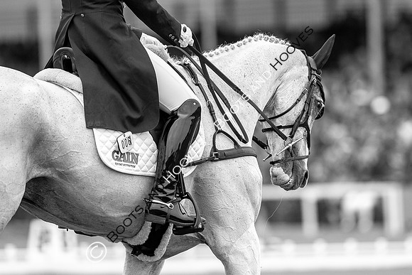 Horse Trials