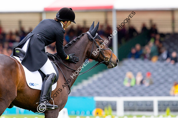 Horse Trials