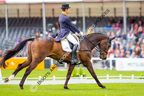 Horse Trials