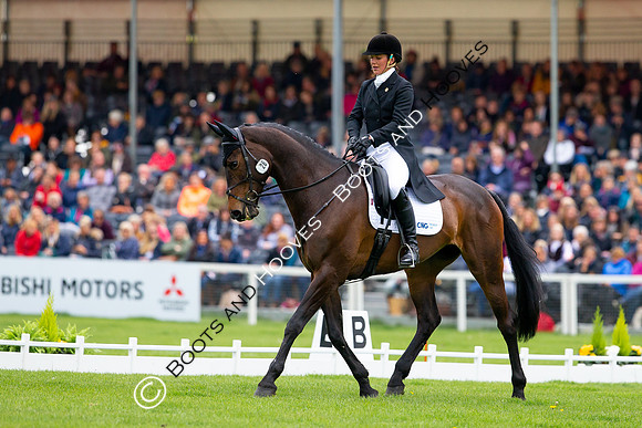 Horse Trials