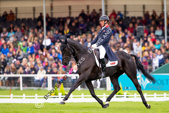 Horse Trials