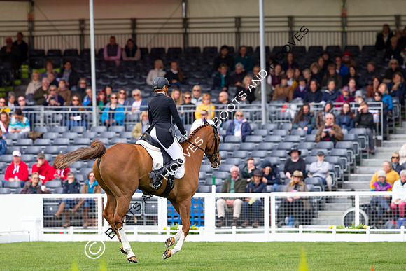 Horse Trials