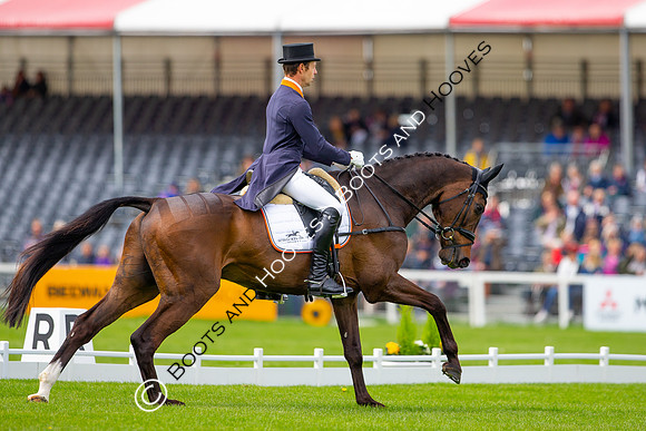 Horse Trials