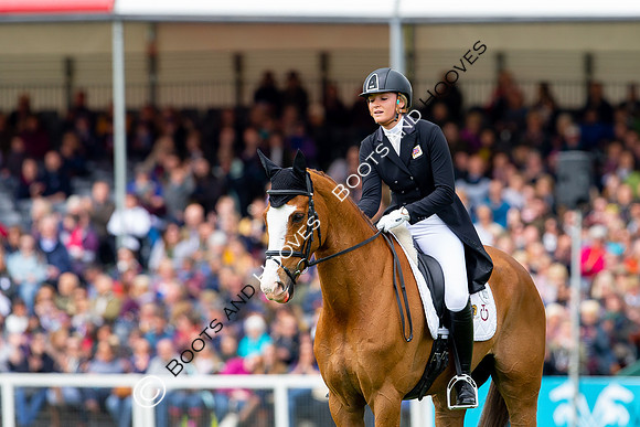 Horse Trials