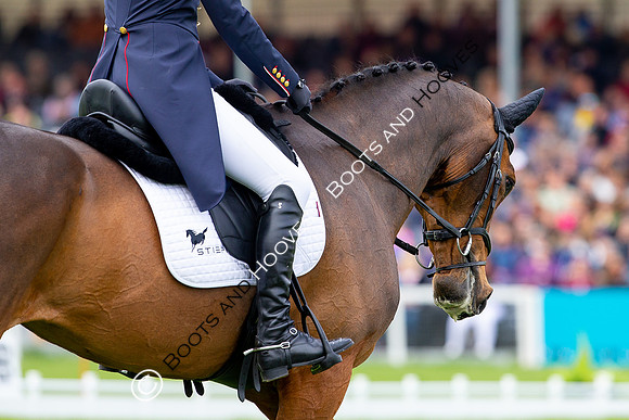 Horse Trials