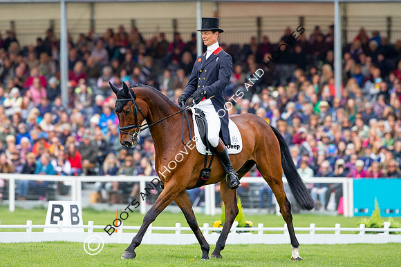 Horse Trials