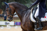 FEI Eventing World Championships 2022