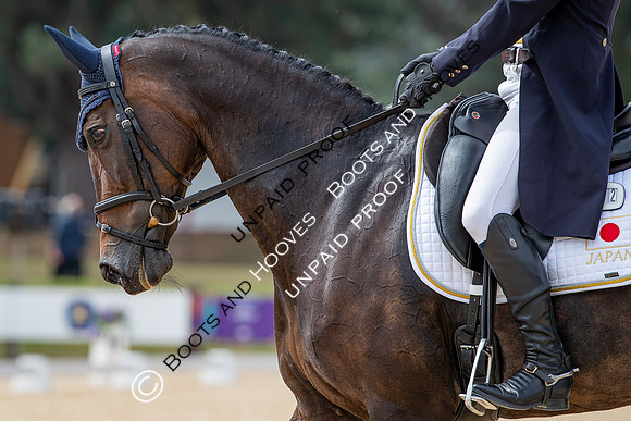 FEI Eventing World Championships 2022