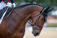 FEI Eventing World Championships 2022