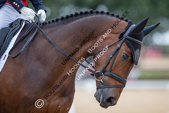 FEI Eventing World Championships 2022