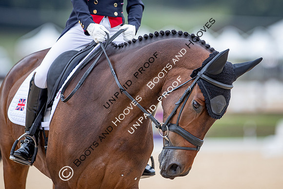 FEI Eventing World Championships 2022