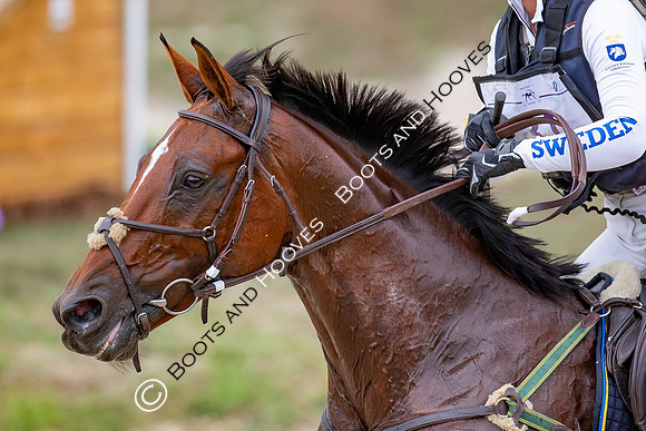 FEI Eventing World Championships 2022