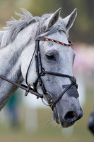 FEI Eventing World Championships 2022