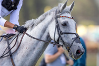 The FEI Eventing World Championships, Parco Regionale dei Castelli Romani, Pratoni, Italy. ITA.  - 17 Sep 2022