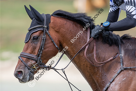 The FEI Eventing World Championships, Parco Regionale dei Castelli Romani, Pratoni, Italy. ITA.  - 17 Sep 2022