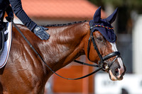 The FEI Eventing World Championships, Parco Regionale dei Castelli Romani, Pratoni, Italy. ITA.  - 16 Sep 2022