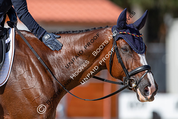 The FEI Eventing World Championships, Parco Regionale dei Castelli Romani, Pratoni, Italy. ITA.  - 16 Sep 2022