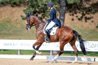 The FEI Eventing World Championships, Parco Regionale dei Castelli Romani, Pratoni, Italy. ITA.  - 16 Sep 2022