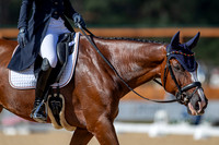 The FEI Eventing World Championships, Parco Regionale dei Castelli Romani, Pratoni, Italy. ITA.  - 16 Sep 2022