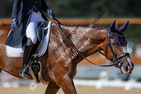 The FEI Eventing World Championships, Parco Regionale dei Castelli Romani, Pratoni, Italy. ITA.  - 16 Sep 2022