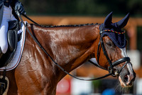 The FEI Eventing World Championships, Parco Regionale dei Castelli Romani, Pratoni, Italy. ITA.  - 16 Sep 2022