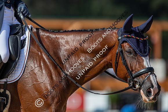 The FEI Eventing World Championships, Parco Regionale dei Castelli Romani, Pratoni, Italy. ITA.  - 16 Sep 2022