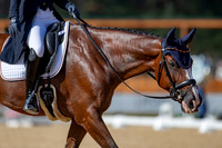 The FEI Eventing World Championships, Parco Regionale dei Castelli Romani, Pratoni, Italy. ITA.  - 16 Sep 2022