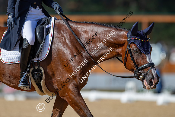 The FEI Eventing World Championships, Parco Regionale dei Castelli Romani, Pratoni, Italy. ITA.  - 16 Sep 2022