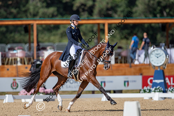 The FEI Eventing World Championships, Parco Regionale dei Castelli Romani, Pratoni, Italy. ITA.  - 16 Sep 2022