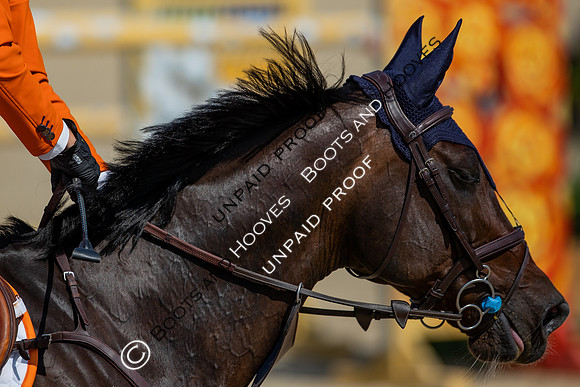 FEI Junior European Championship Young Riders, Juniors & Childre