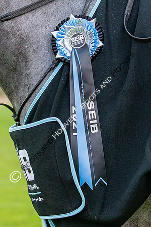 The Prenetics Royal International Horse Show