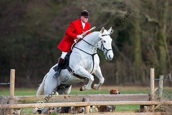 East Essex Hunt. Ladies Day. 29/01/2019 ~ MANDATORY Credit Elli Birch/Bootsandhooves - NO UNAUTHORISED USE - 07745 909676