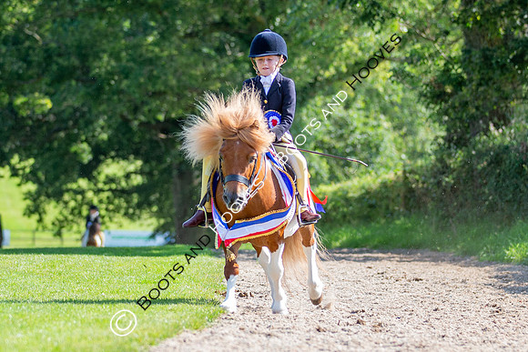The Prenetics Royal International Horse Show