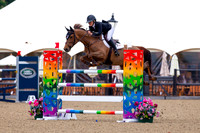 Royal Windsor Horse Show