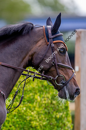 Science Supplements All England Jumping Championships