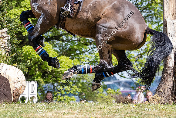 MARS Badminton Horse Trials