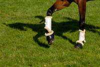 Agria Blenheim Palace International Horse Trials hosting the Agria FEI Eventing European Championship, Eventing, Blenheim Palace, Oxfordshire, UK - 19 Sep 2025