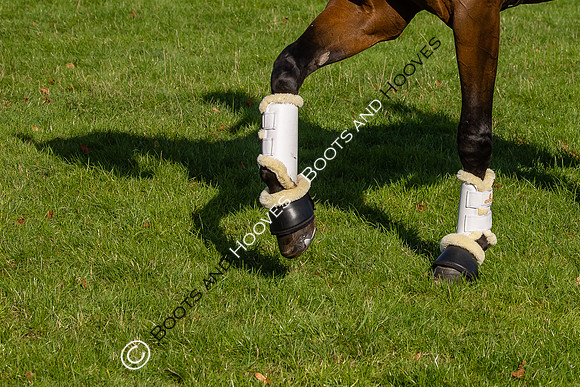 Agria Blenheim Palace International Horse Trials hosting the Agria FEI Eventing European Championship, Eventing, Blenheim Palace, Oxfordshire, UK - 19 Sep 2025