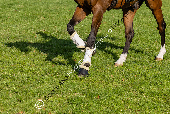 Agria Blenheim Palace International Horse Trials hosting the Agria FEI Eventing European Championship, Eventing, Blenheim Palace, Oxfordshire, UK - 19 Sep 2025