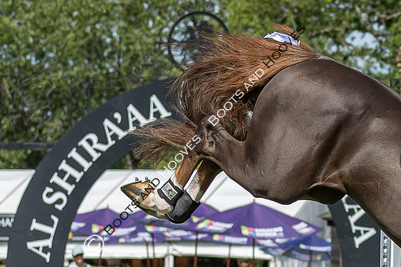 The Al Shira'aa Hickstead Derby Meeting