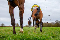 The High Easter Racing Club Point to Point