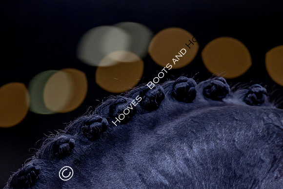 The London International Horse Show
