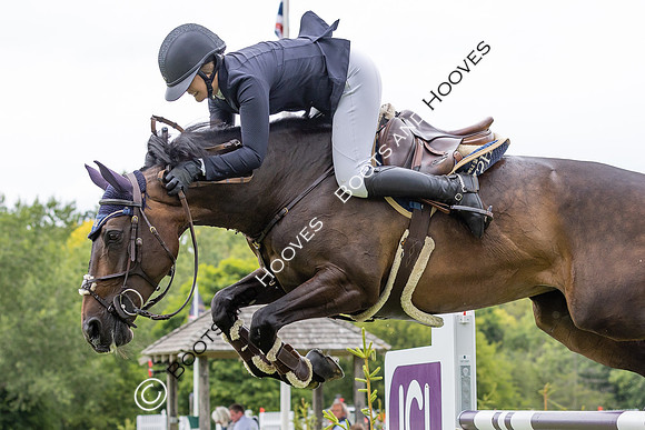 The Agria Royal International Horse Show