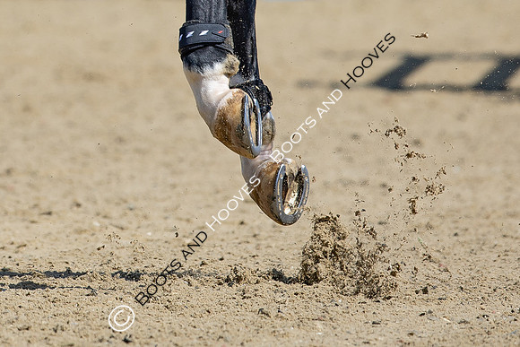 Royal Windsor Horse Show