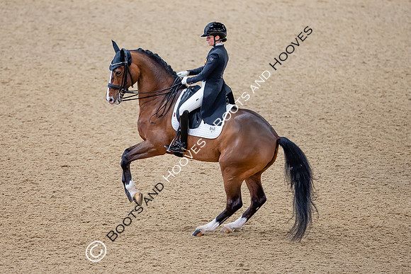 The London International Horse Show