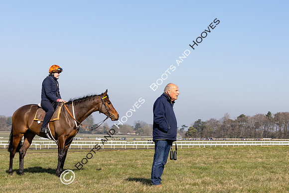 Newmarket